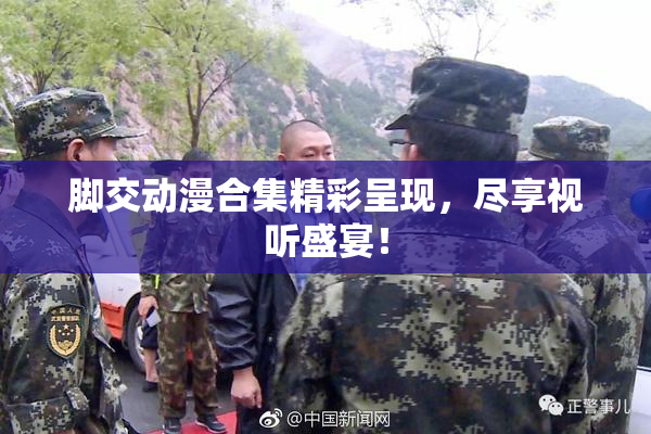 脚交动漫合集精彩呈现，尽享视听盛宴！