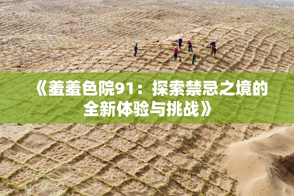 《羞羞色院91：探索禁忌之境的全新体验与挑战》