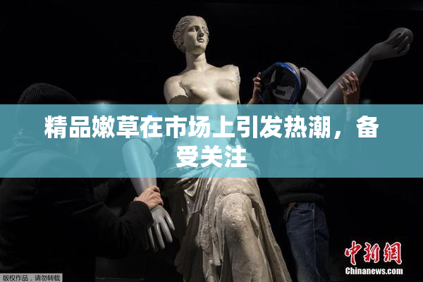 精品嫩草在市场上引发热潮，备受关注