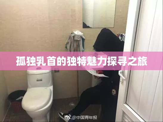 孤独乳首的独特魅力探寻之旅