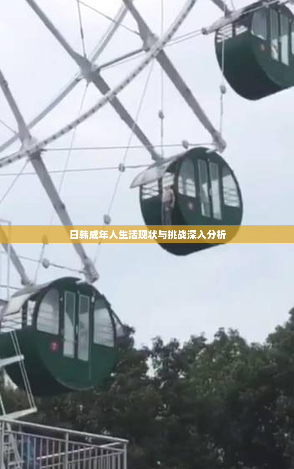 日韩成年人生活现状与挑战深入分析