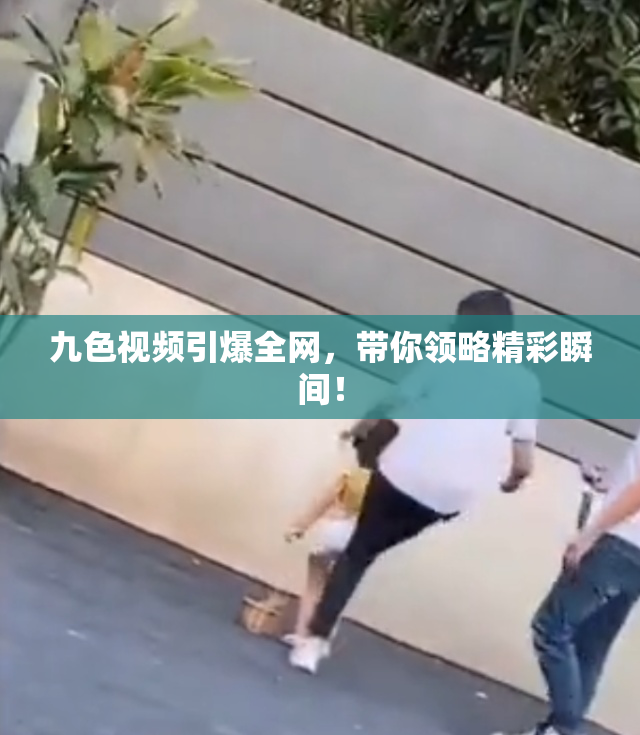 九色视频引爆全网，带你领略精彩瞬间！