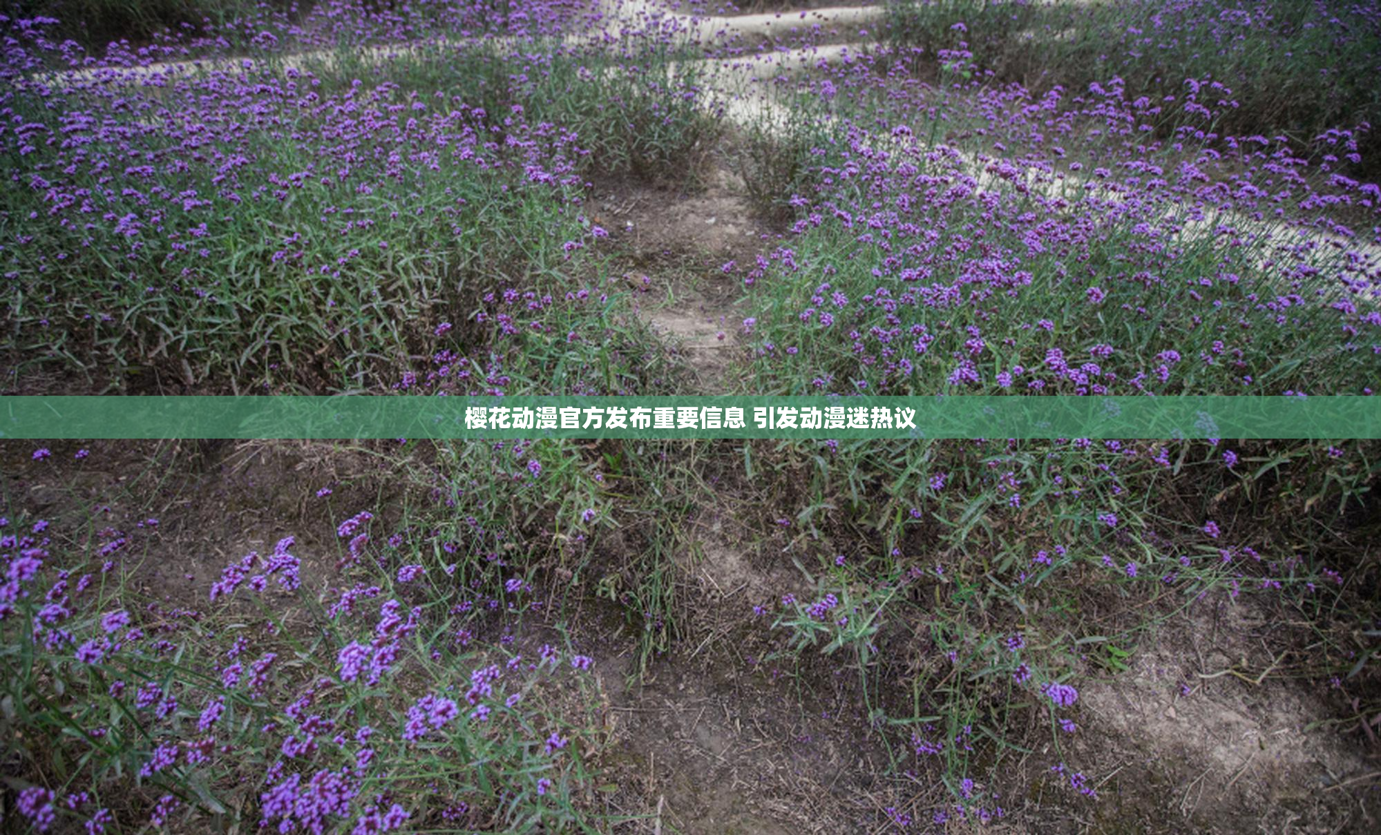樱花动漫官方发布重要信息 引发动漫迷热议