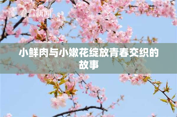 小鲜肉与小嫩花绽放青春交织的故事