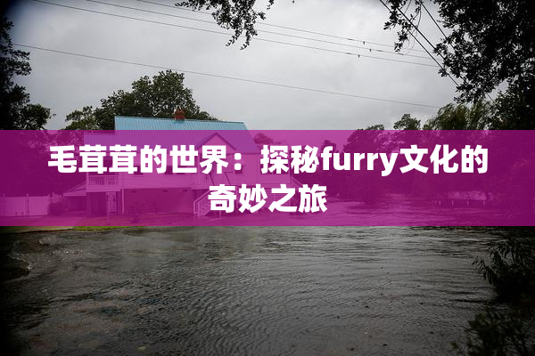 毛茸茸的世界：探秘furry文化的奇妙之旅