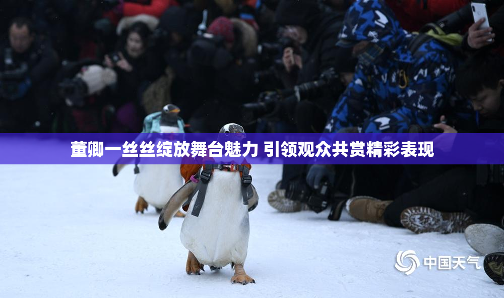 董卿一丝丝绽放舞台魅力 引领观众共赏精彩表现