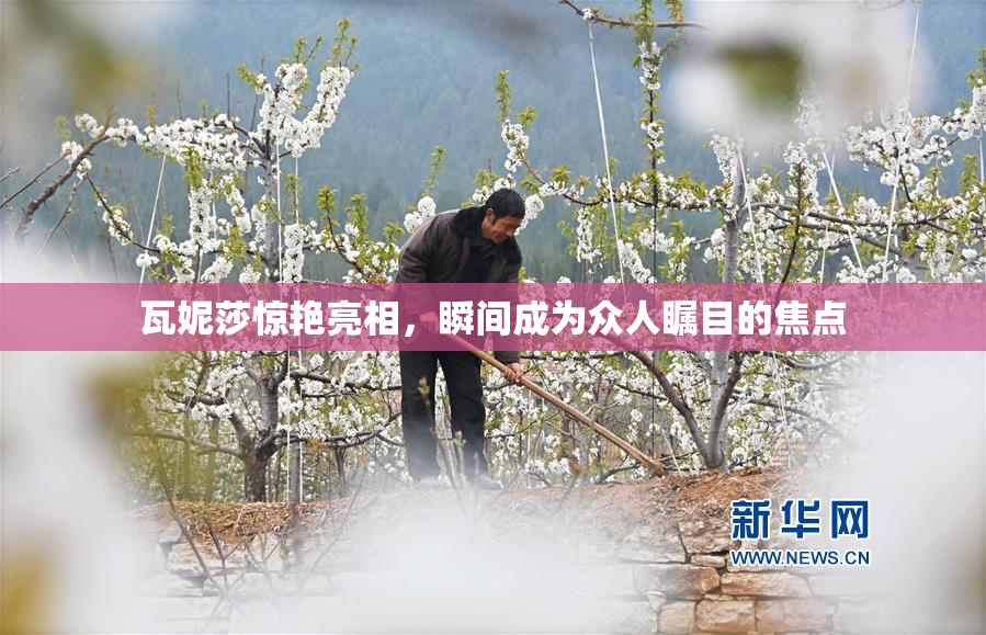 瓦妮莎惊艳亮相，瞬间成为众人瞩目的焦点