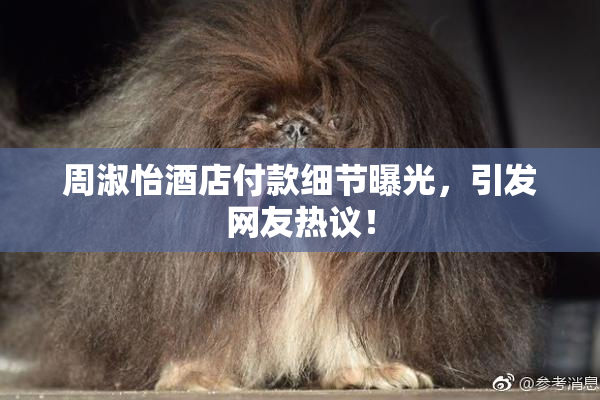 周淑怡酒店付款细节曝光，引发网友热议！