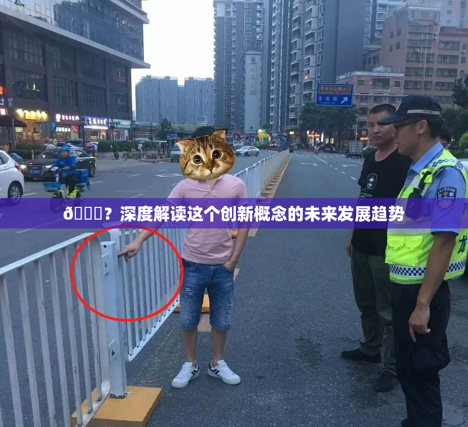 🈚？深度解读这个创新概念的未来发展趋势