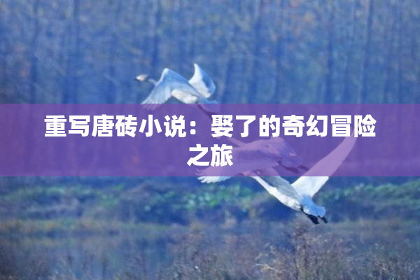 重写唐砖小说：娶了的奇幻冒险之旅