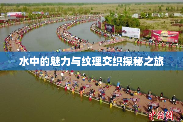 水中的魅力与纹理交织探秘之旅