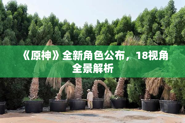 《原神》全新角色公布，18视角全景解析