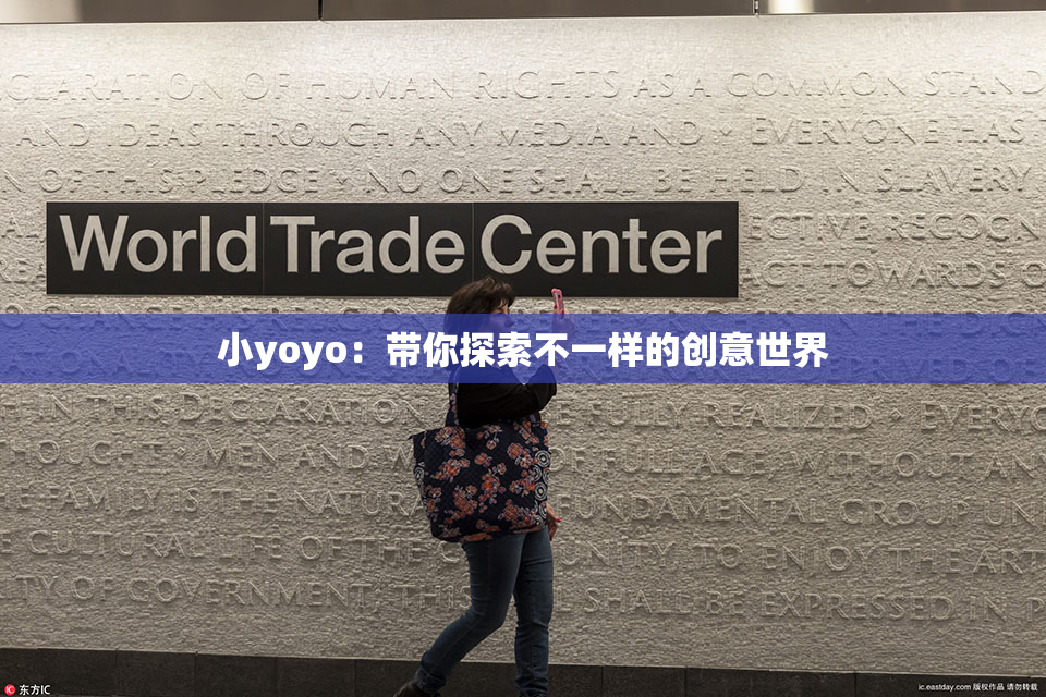 小yoyo：带你探索不一样的创意世界