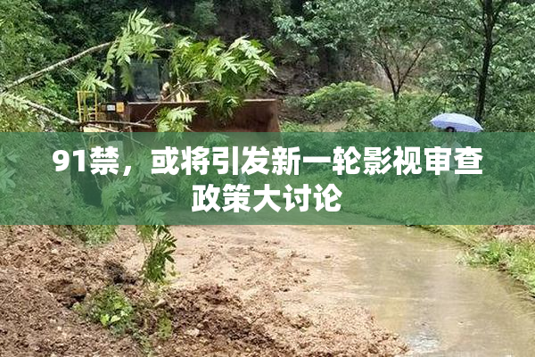 91禁，或将引发新一轮影视审查政策大讨论