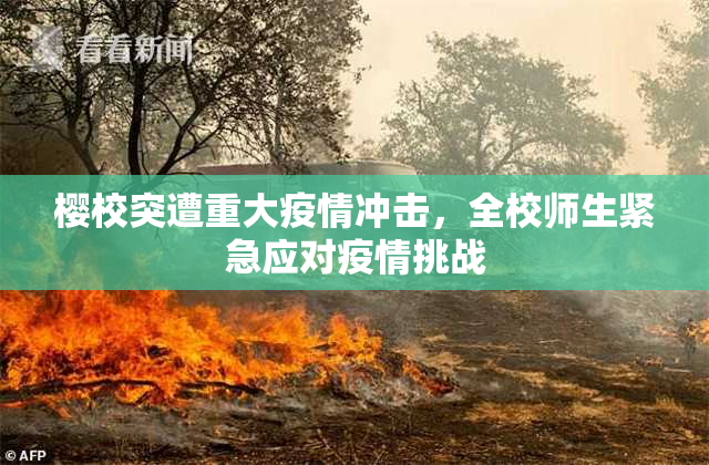 樱校突遭重大疫情冲击，全校师生紧急应对疫情挑战