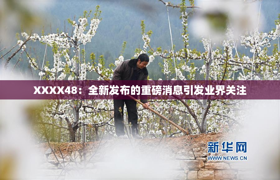 XXXX48：全新发布的重磅消息引发业界关注