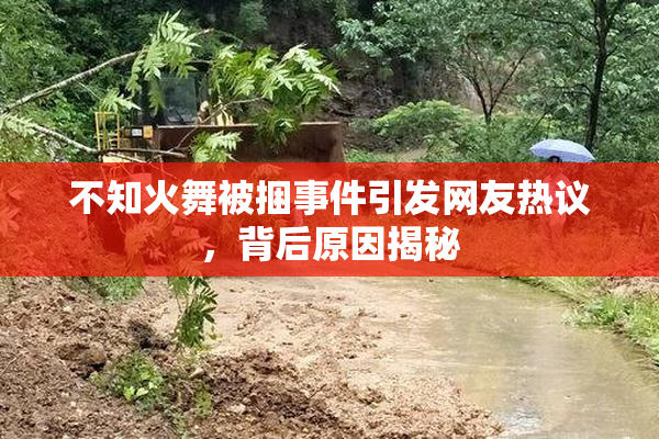 不知火舞被捆事件引发网友热议，背后原因揭秘