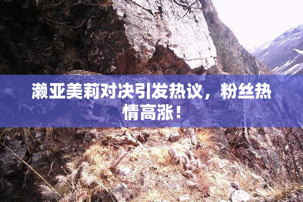 濑亚美莉对决引发热议，粉丝热情高涨！