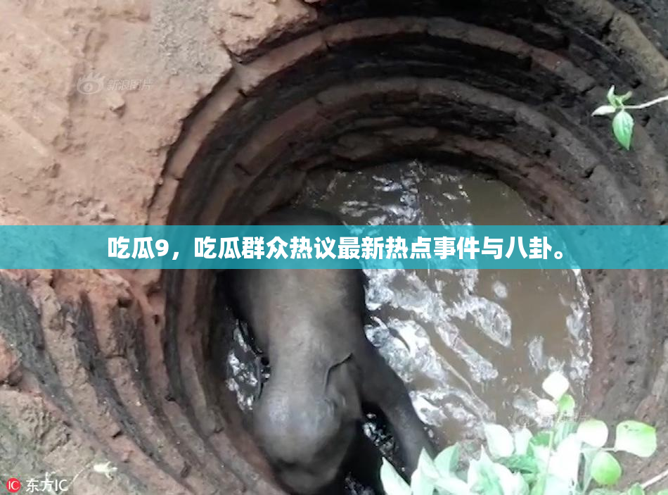 吃瓜9，吃瓜群众热议最新热点事件与八卦。