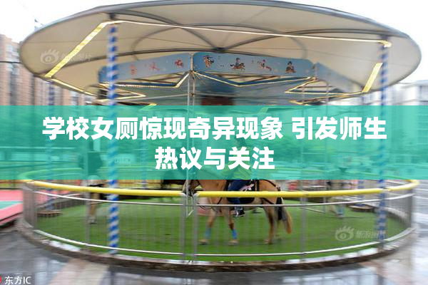 学校女厕惊现奇异现象 引发师生热议与关注
