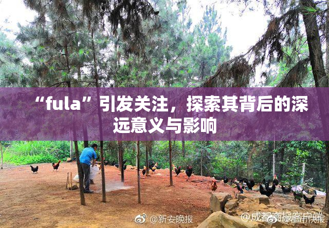 “fula”引发关注，探索其背后的深远意义与影响