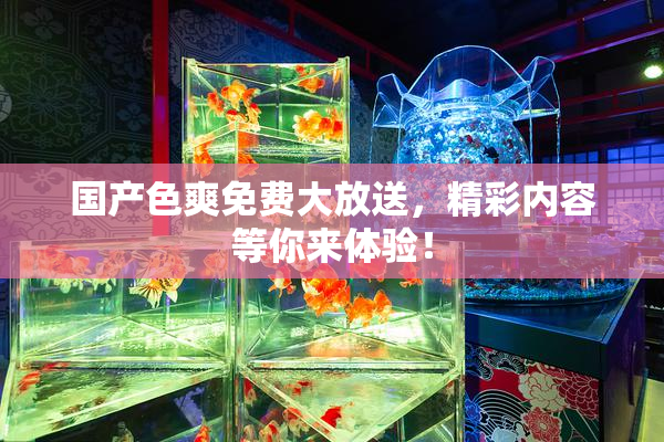 国产色爽免费大放送，精彩内容等你来体验！