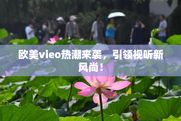 欧美vieo热潮来袭，引领视听新风尚！