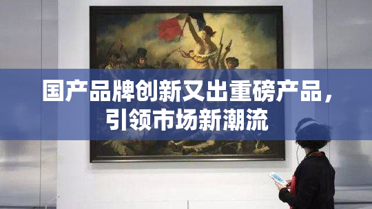 国产品牌创新又出重磅产品，引领市场新潮流