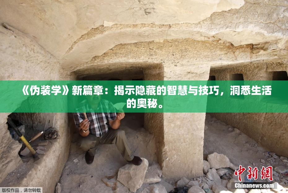 《伪装学》新篇章：揭示隐藏的智慧与技巧，洞悉生活的奥秘。