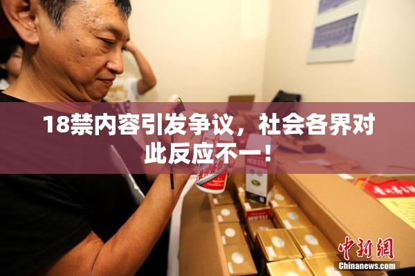 18禁内容引发争议，社会各界对此反应不一！