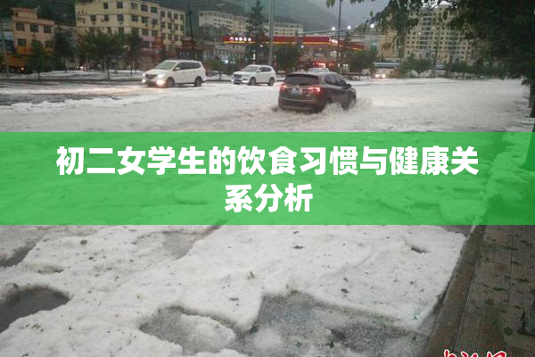 初二女学生的饮食习惯与健康关系分析
