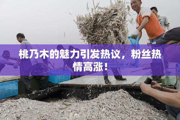 桃乃木的魅力引发热议，粉丝热情高涨！