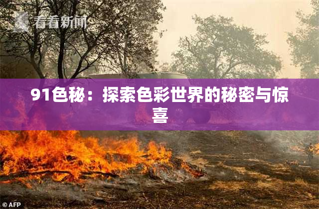 91色秘：探索色彩世界的秘密与惊喜