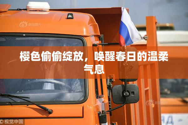 樱色偷偷绽放，唤醒春日的温柔气息