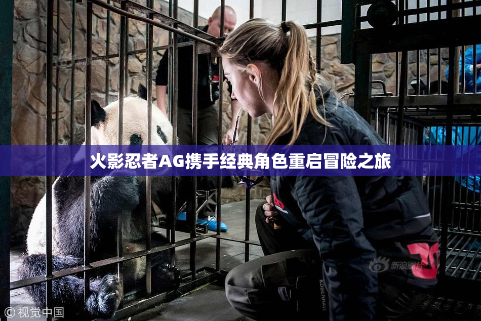 火影忍者AG携手经典角色重启冒险之旅