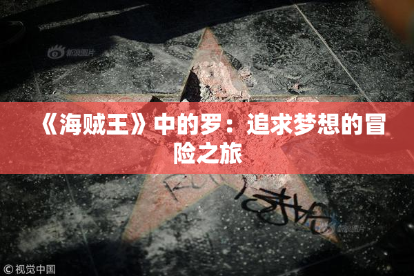 《海贼王》中的罗：追求梦想的冒险之旅