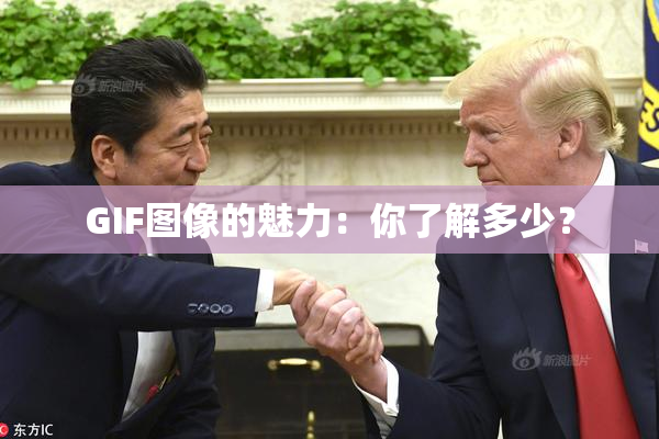 GIF图像的魅力：你了解多少？