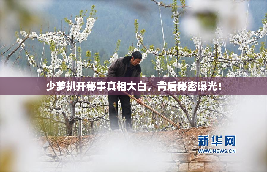 少萝扒开秘事真相大白，背后秘密曝光！