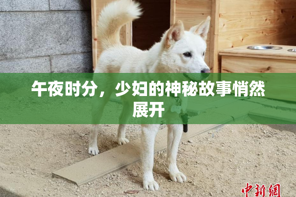 午夜时分，少妇的神秘故事悄然展开