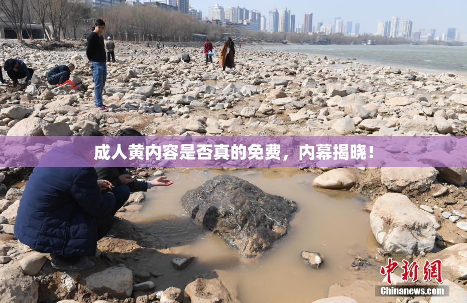 成人黄内容是否真的免费，内幕揭晓！