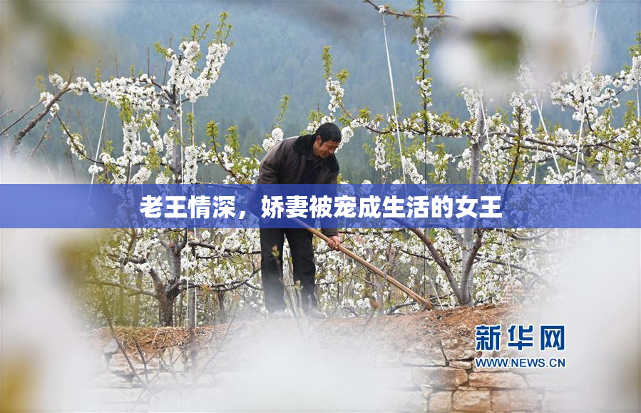 老王情深，娇妻被宠成生活的女王