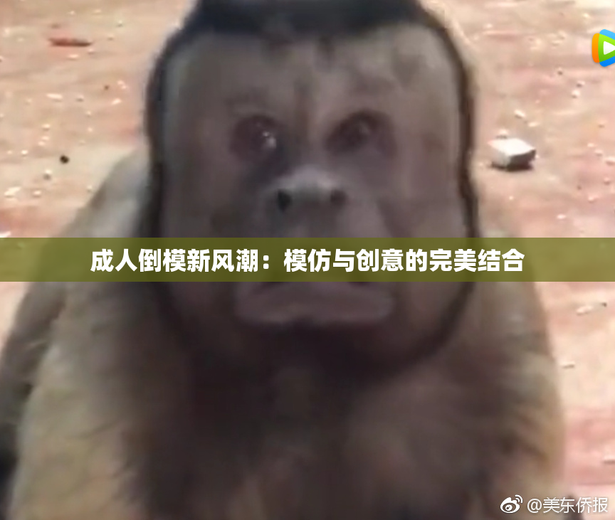 成人倒模新风潮：模仿与创意的完美结合