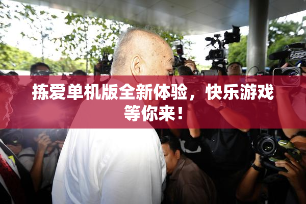 拣爱单机版全新体验，快乐游戏等你来！