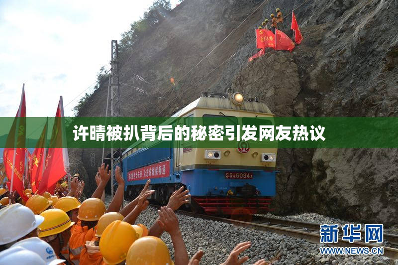 许晴被扒背后的秘密引发网友热议