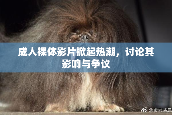 成人裸体影片掀起热潮，讨论其影响与争议