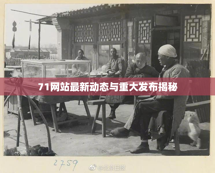 71网站最新动态与重大发布揭秘
