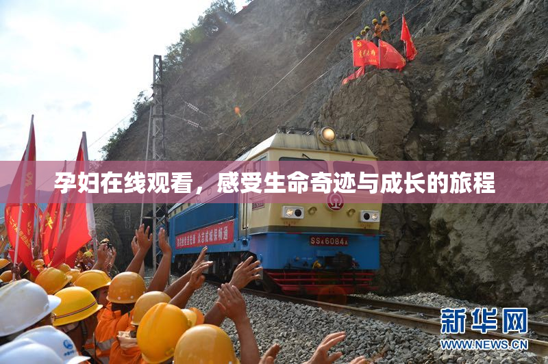 孕妇在线观看，感受生命奇迹与成长的旅程