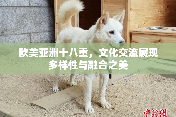 欧美亚洲十八重，文化交流展现多样性与融合之美