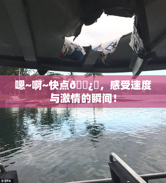 嗯~啊~快点🌿‌，感受速度与激情的瞬间！