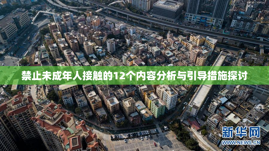 禁止未成年人接触的12个内容分析与引导措施探讨
